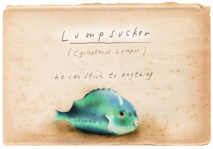 LUMPSUCKER FISH